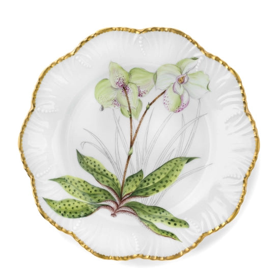 Histories D'Orchidees Dinner Plate Set of 6