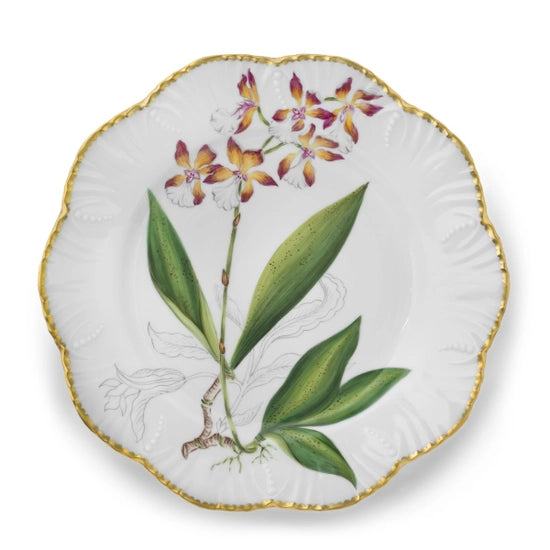 Histories D'Orchidees Dinner Plate Set of 6