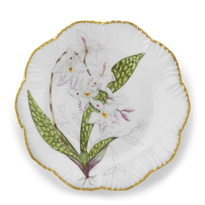 Histories D'Orchidees Dinner Plate Set of 6