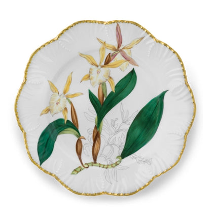 Histories D'Orchidees Dinner Plate Set of 6