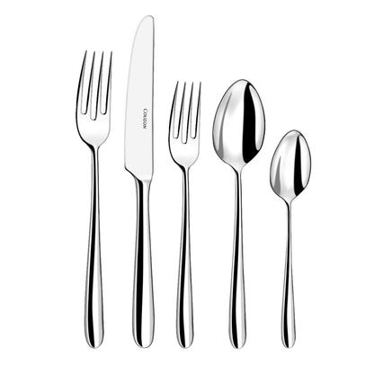 Fusain Stainless Steel - 5 Piece Place Setting